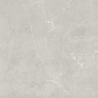 Керамический гранит 59,5*59,5 СКАНДИ/SCANDY светло-серый обрезной SG645120R (0,36 кв.м.) R