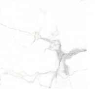Керамический гранит 60*60 CARRARA GOLD белый полированный MBFS600 (0,36 кв.м.)