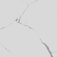 Керамический гранит 80*80 МОНТЕ ТИБЕРИО белый матовый SG849990R (0,64 кв.м.)