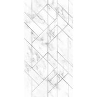 Панели пластик. Эрато 773/1 0,25*2,6м*8мм