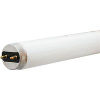 Лампа люминесцентная 36/765 (хол.днев. свет) OSRAM