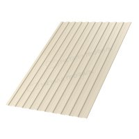 Профнастил  С-8 1,2*2,0м (ПЭ-01-1015-0,4) свет.слоновая кость