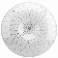 141532-1