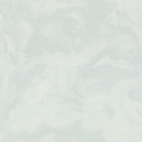 Обои Euro Decor 7325-24 Floravento структурные (6)