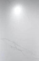 Керамический гранит 60*120 CALACATTA LAGHT baby skin сатинированный GTD12623LR (0,72 кв.м.)